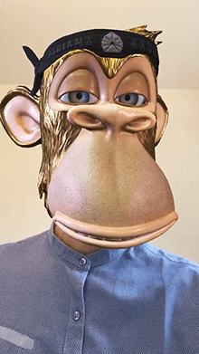 BAYC Face Filter