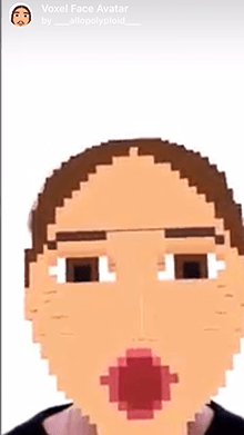 Voxel Face Avatar