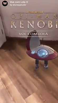 Voe com Lola