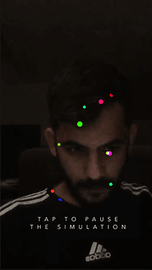 COLORIZER
