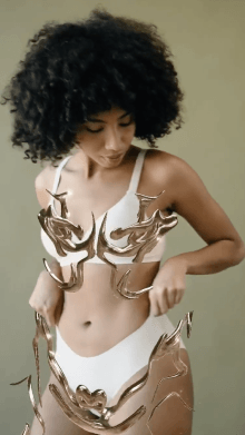 Dessert Armour