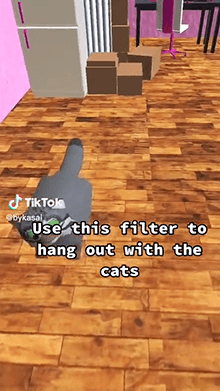 Cat House AR