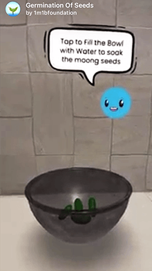 Germination Of Seeds