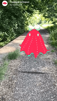Flapjack octopus