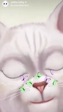 white kitty