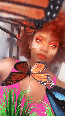 Butterfly Summers