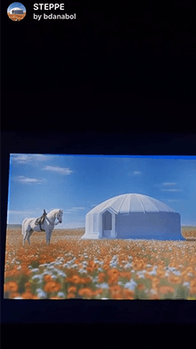 STEPPE
