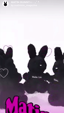 MATIN BUNNY✩‧  ₊˚ *