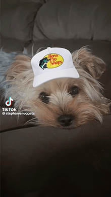 Gorra de pescado