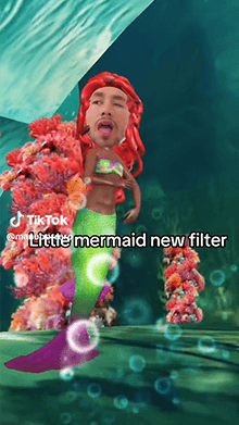 little mermaid