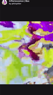 Inflorescence | Box
