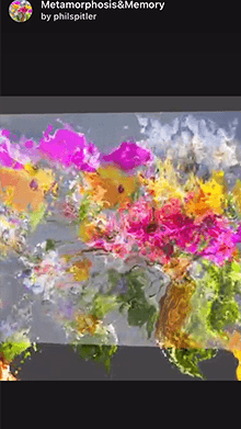 Metamorphosis&Memory
