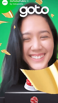 GoToGoPublic