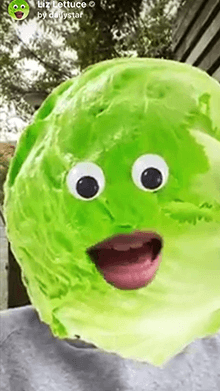 Liz Lettuce