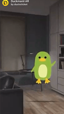 Duckmanii AR