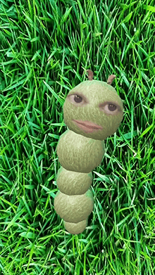 Worm