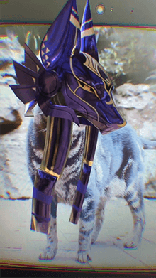 Cyno head (Cat and Human)