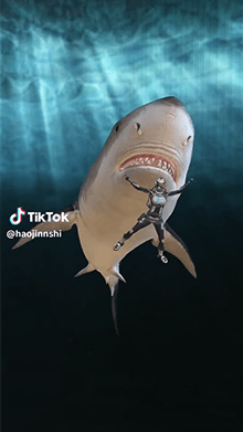Megalodon