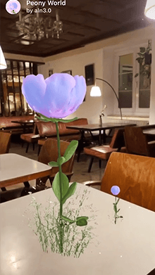 Peony World