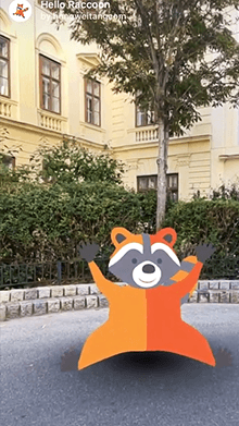 Hello Raccoon