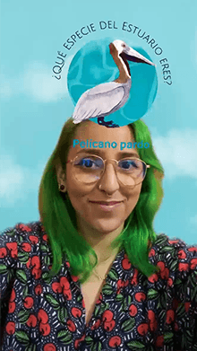 Qué especie eres