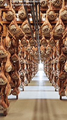 Città del Prosciutto