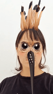 HOOPOE