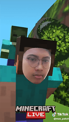 Minecraft Run