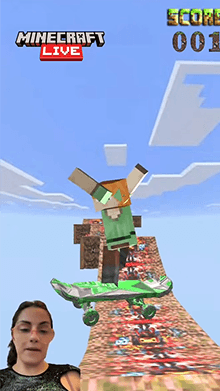 Minecraft Skatepark Game