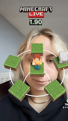 Catch MC Sheep