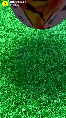 Official ball