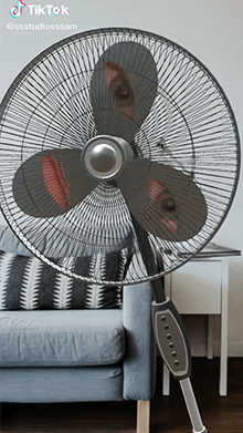 I'M A BIG FAN