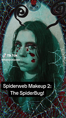 Spiderbug