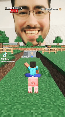 Crazy Pig Minecraft