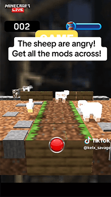 Minecraft Crossing