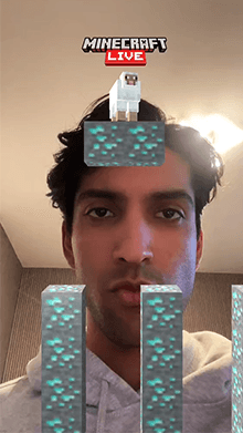 Minecraft Sheep Drop