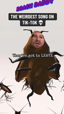 ROACH DADDY