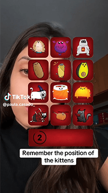 Exploding Kittens Memory