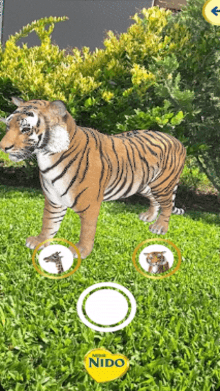 Nido - Web 360 + AR