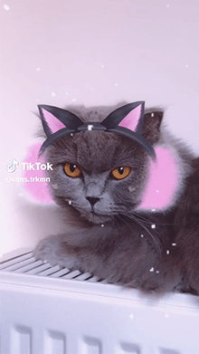 Blackpink Kitty Earmuffs