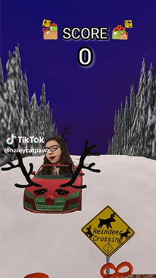 Reindeer Racer