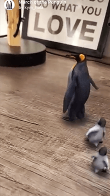 March of the Penguin