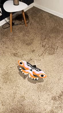 Eye Moth