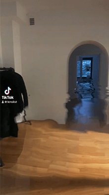 THE FLOOD