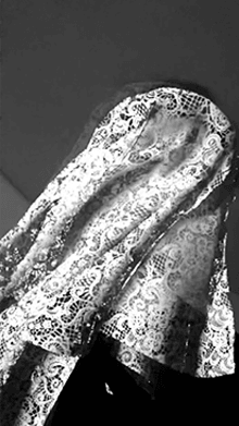 Veil in the Wind