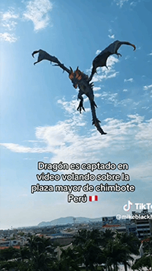 Sky Dragon