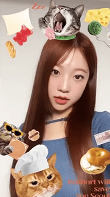 CLIO nyan nyan Cat Filter