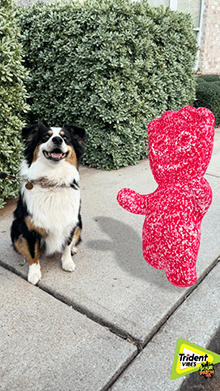 Mondelez - Sour Patch Kids + Trident | WebAR & Metaverse Experience