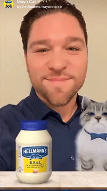 Mayo Cat