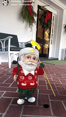 Holiday Gnome